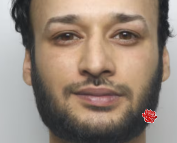 Saqib Raheel – profile image